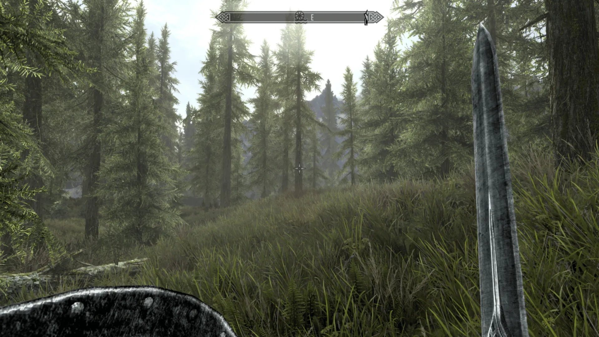 First-person view of a sword and shield while exploring a dense Skyrim forest.