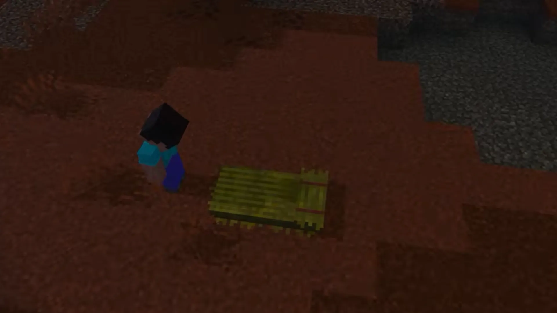 Steve stands beside a green straw bed on reddish ground in a Minecraft forest at night.
