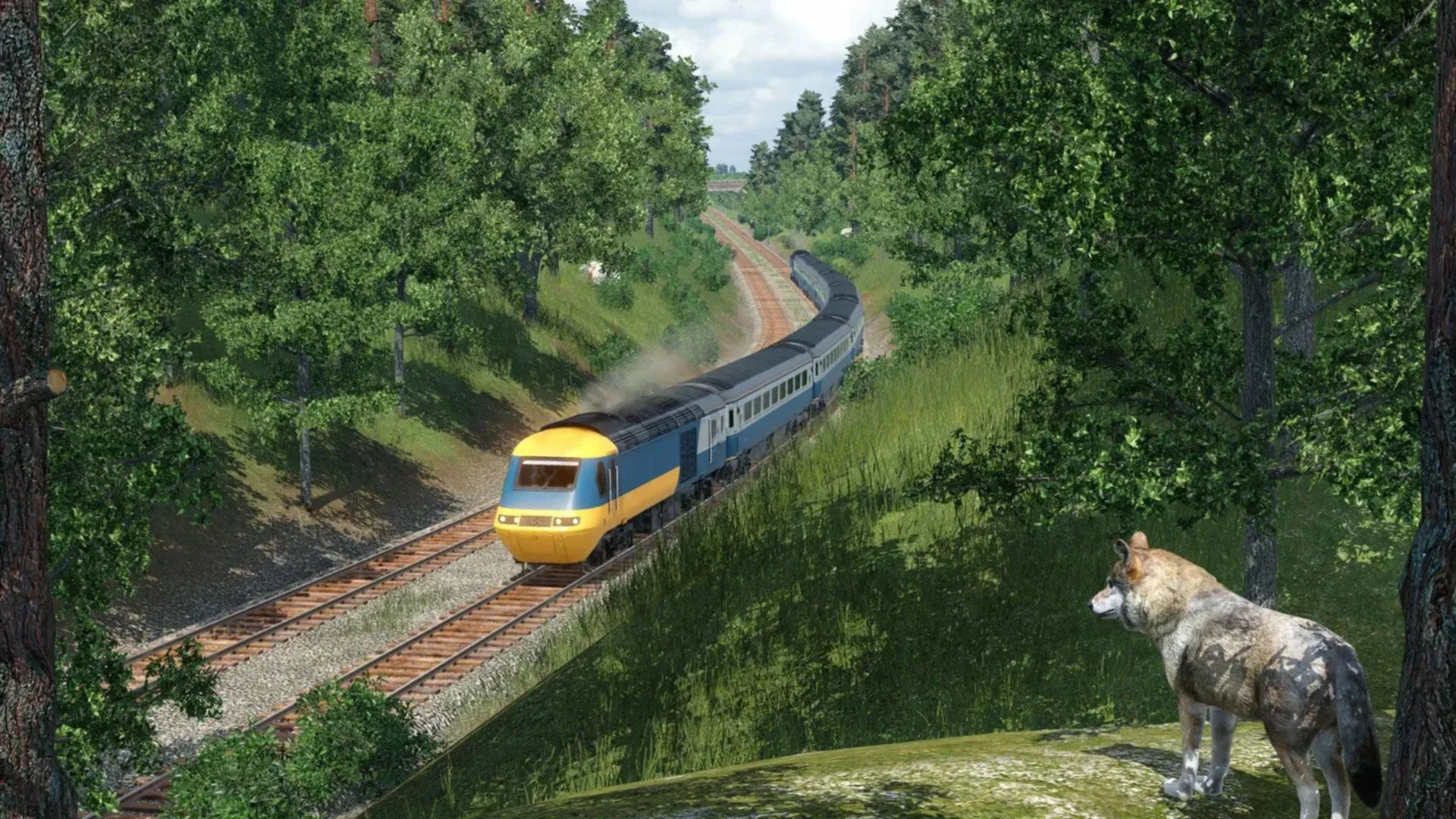 A blue and yellow passenger train winds through a lush green forest as a wolf watches from a rock in Transport Fever 2.