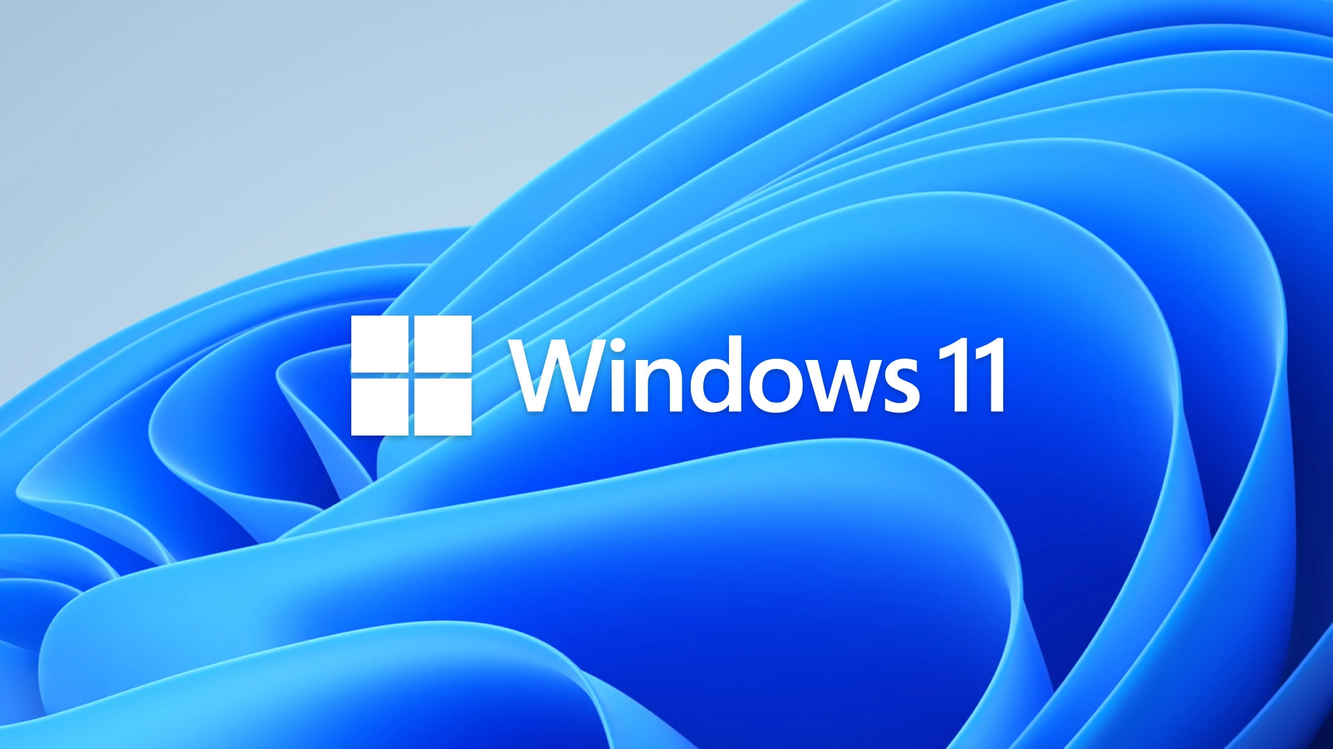 Windows 11 logo displayed over the blue Windows 11 abstract wallpaper
