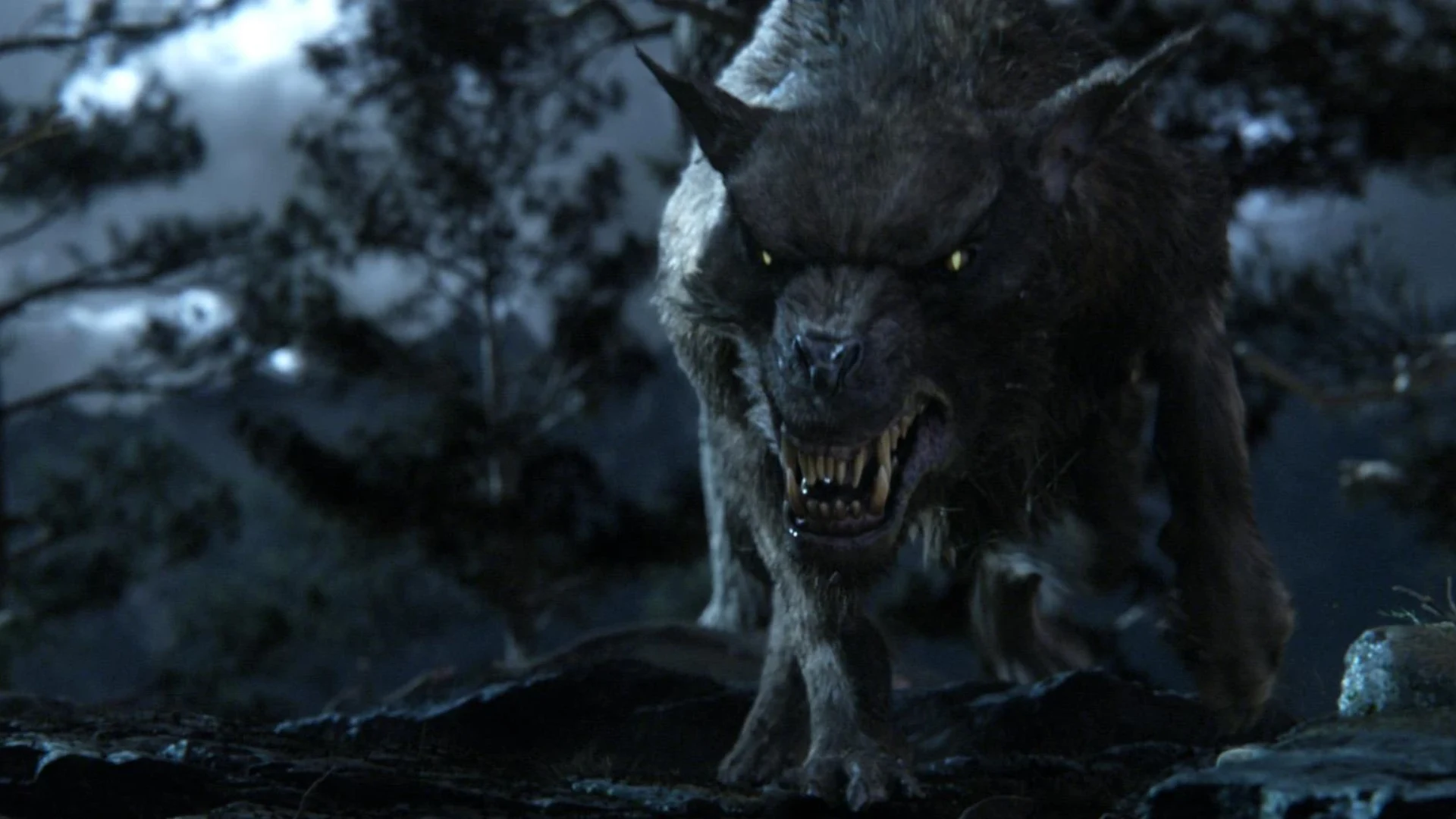 A large black Draugardh werewolf snarls in The Lord of the Rings Online.