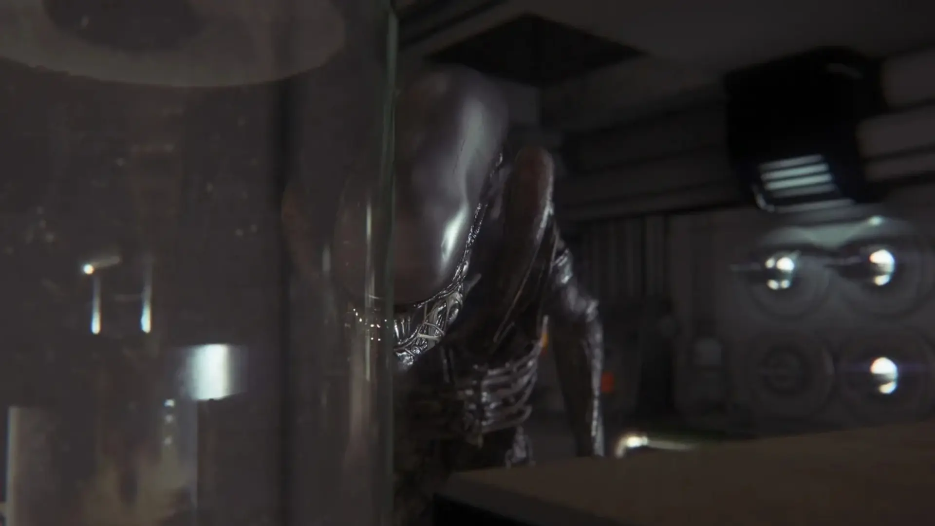 A Xenomorph peers around a glass partition aboard Sevastopol Station in Alien: Isolation.