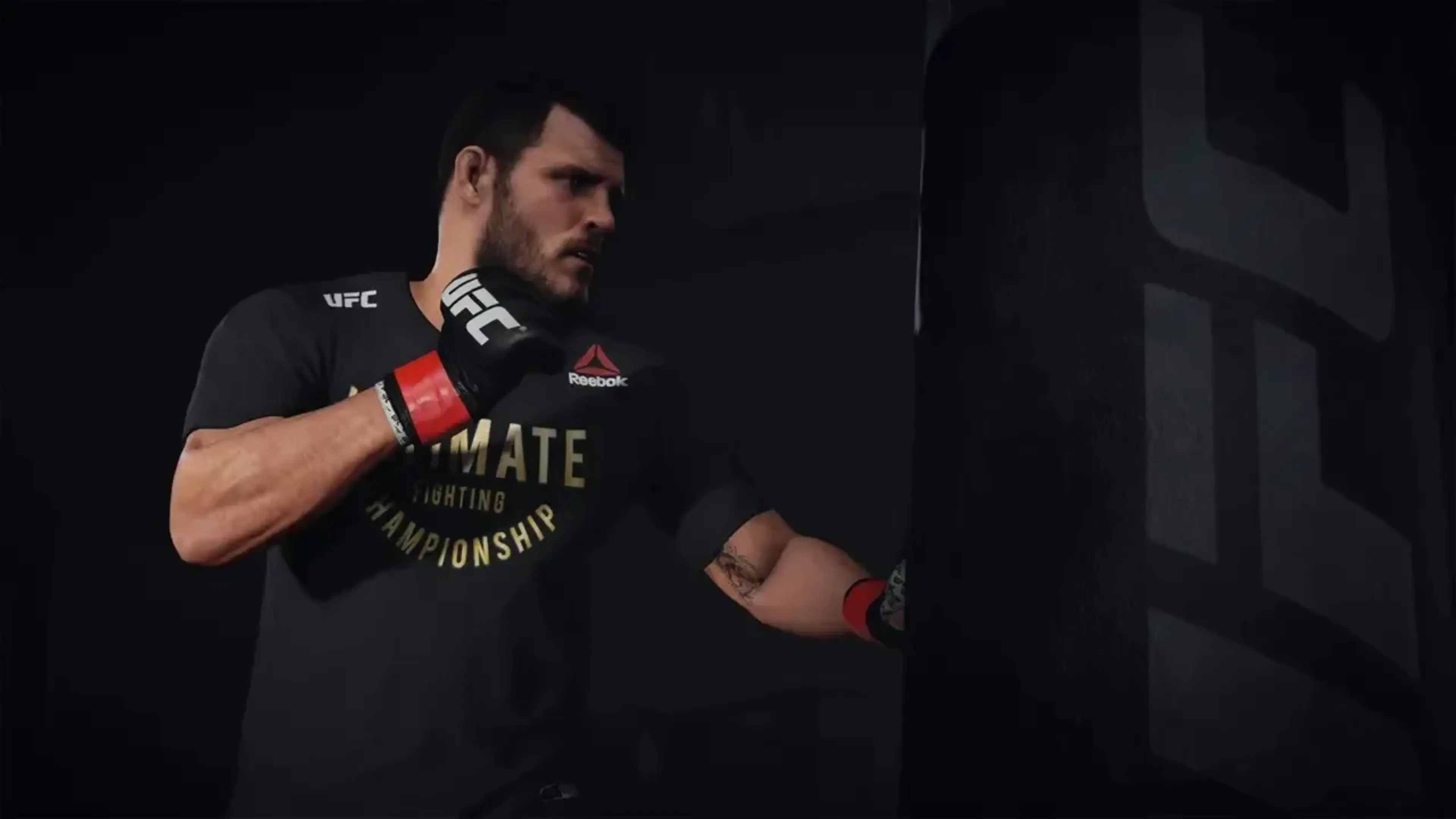 MMA fighter trains with a heavy bag in an EA Sports UFC game