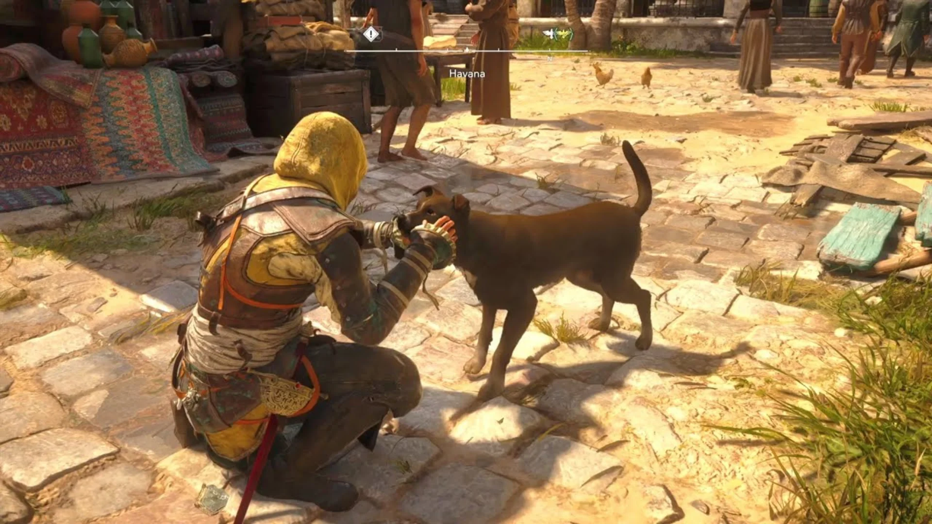 Edward Kenway kneels to pet a dog in Havana in Assassin's Creed Black Flag Resynced.