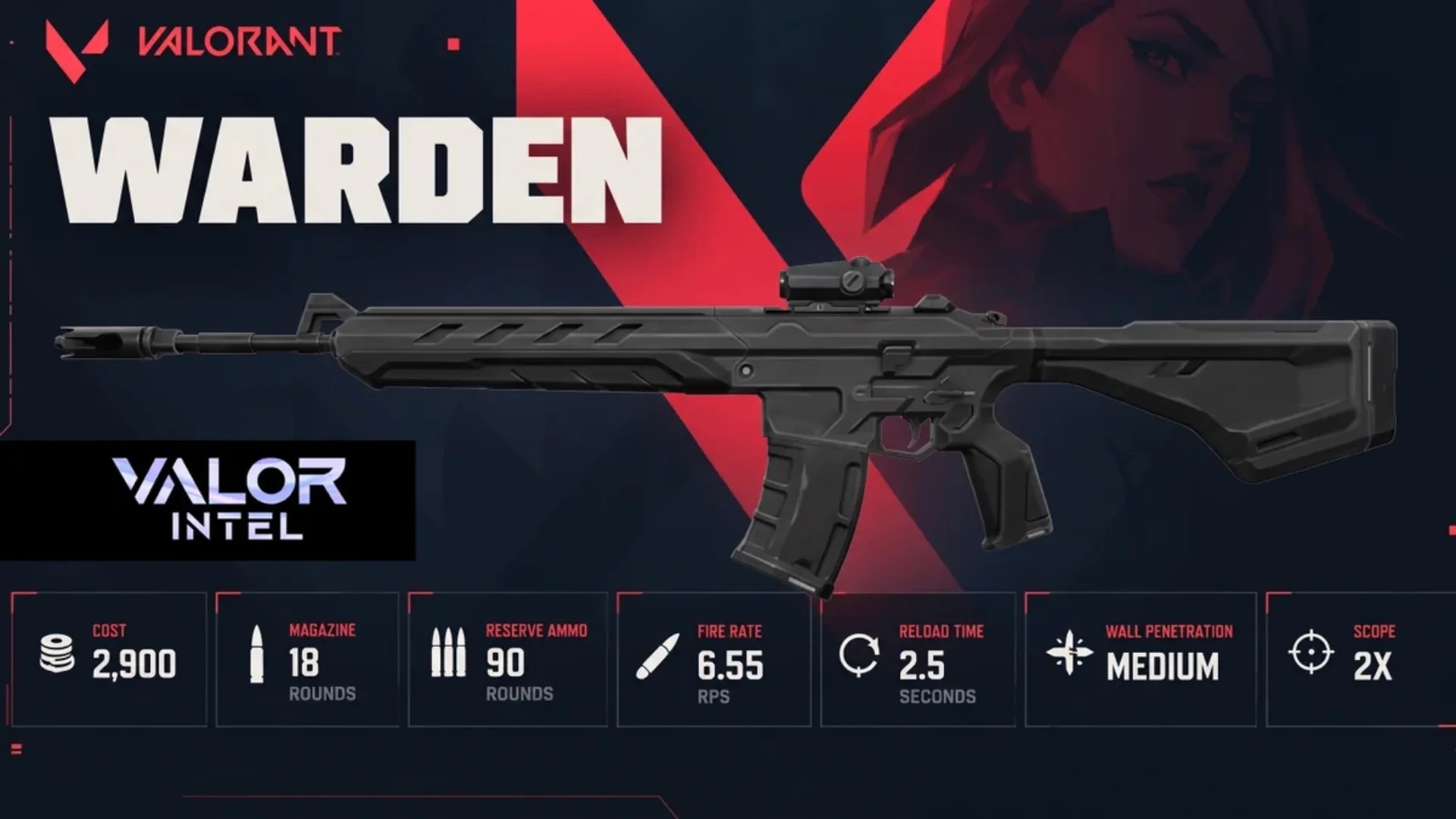 VALORANT Warden rifle infographic shows its 2,900-credit cost, 18-round magazine, fire rate, wall penetration, and 2x scope.