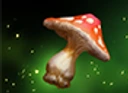 Vital Toadstool