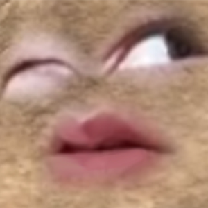 sunglitters
