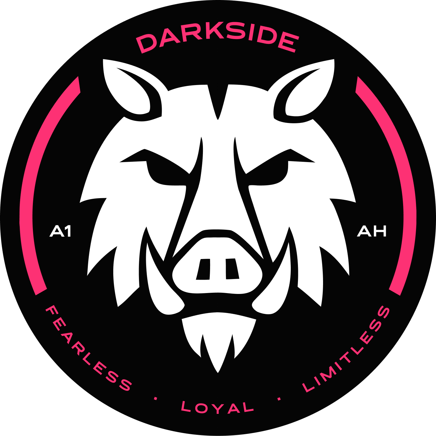 DarkSidE