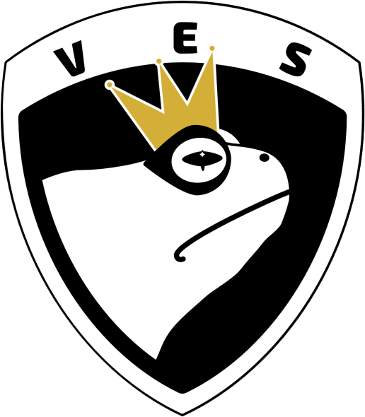 Volda E-sport