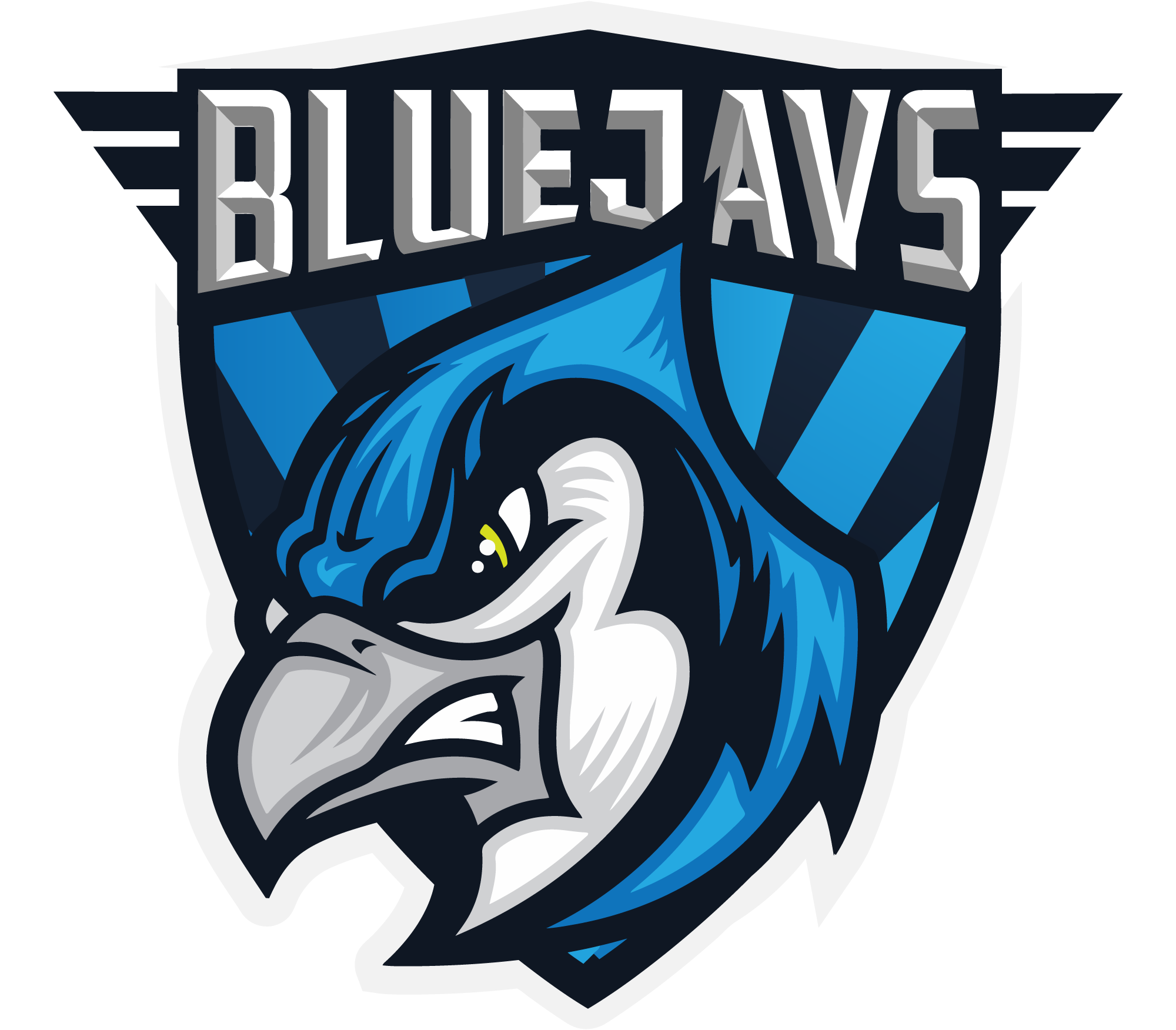 BLUEJAYS International
