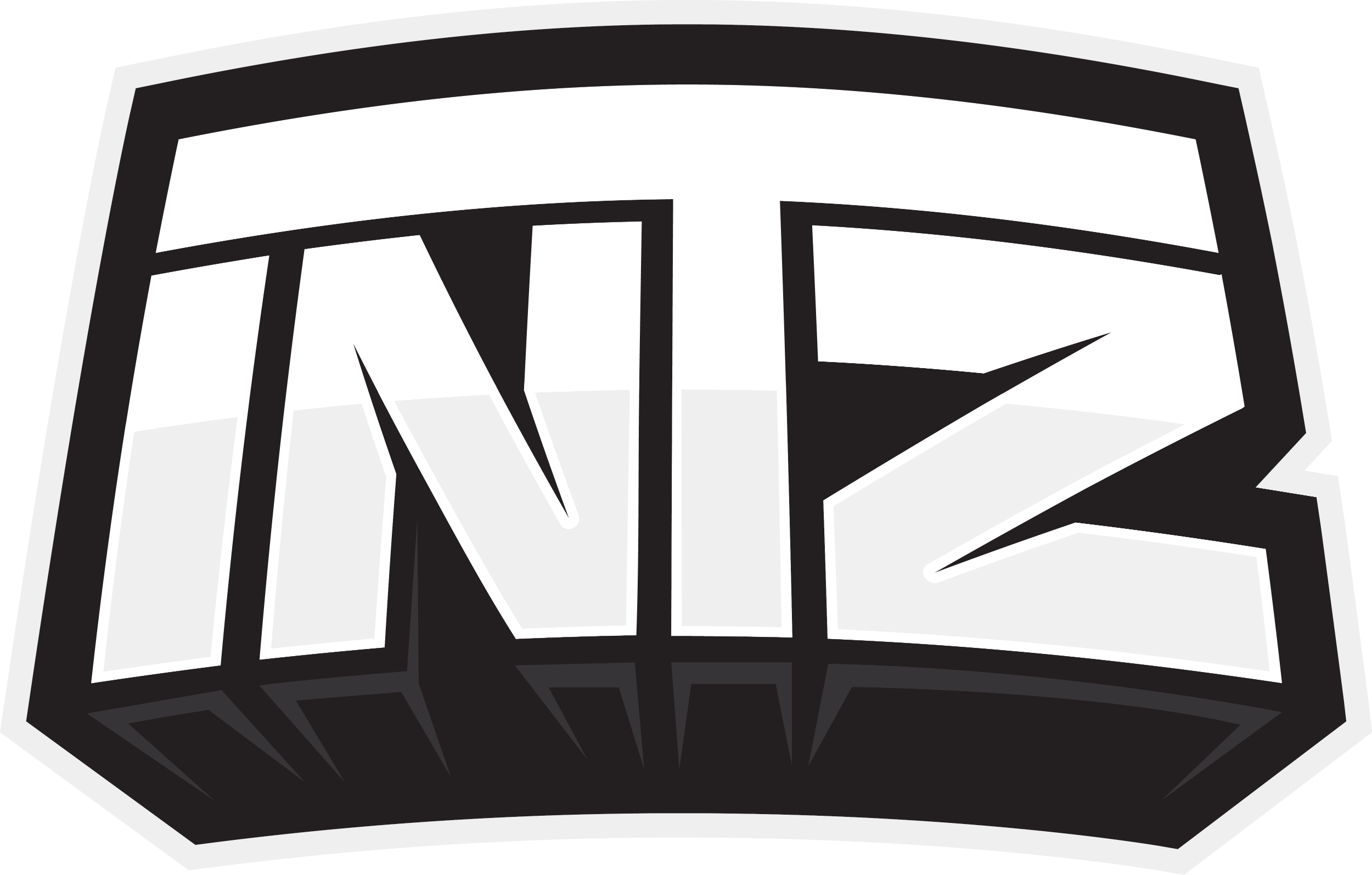 INTZ
