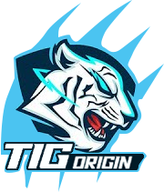 TIG Origin