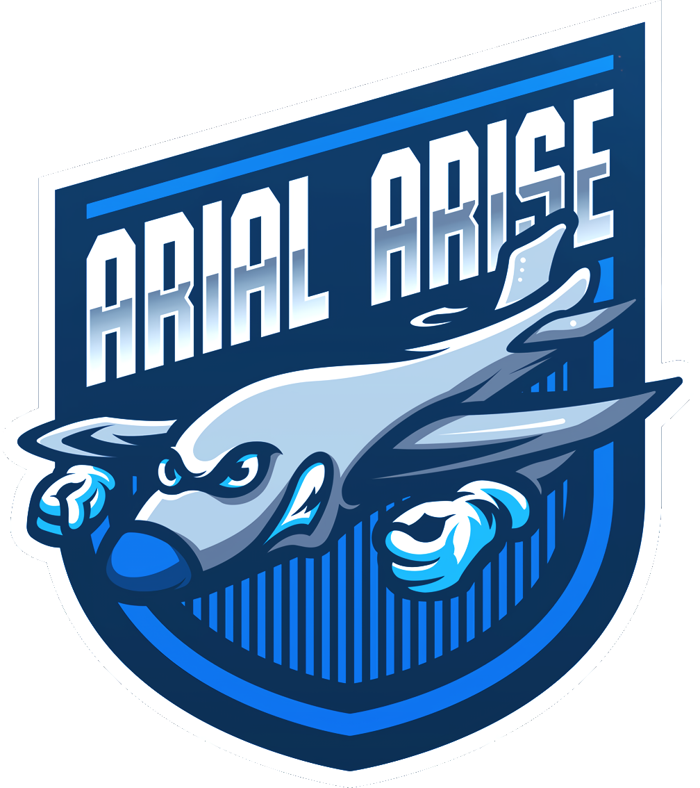 Arial Arise