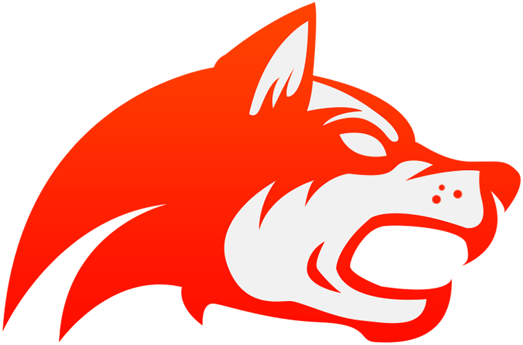 Denial Esports