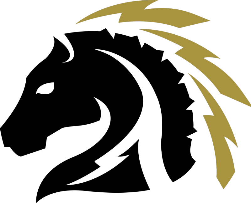 Kansas City Pioneers