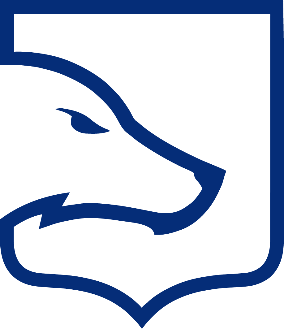 Team LDLC