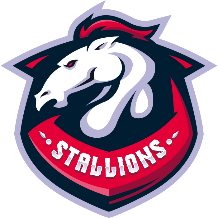 Team Stallions