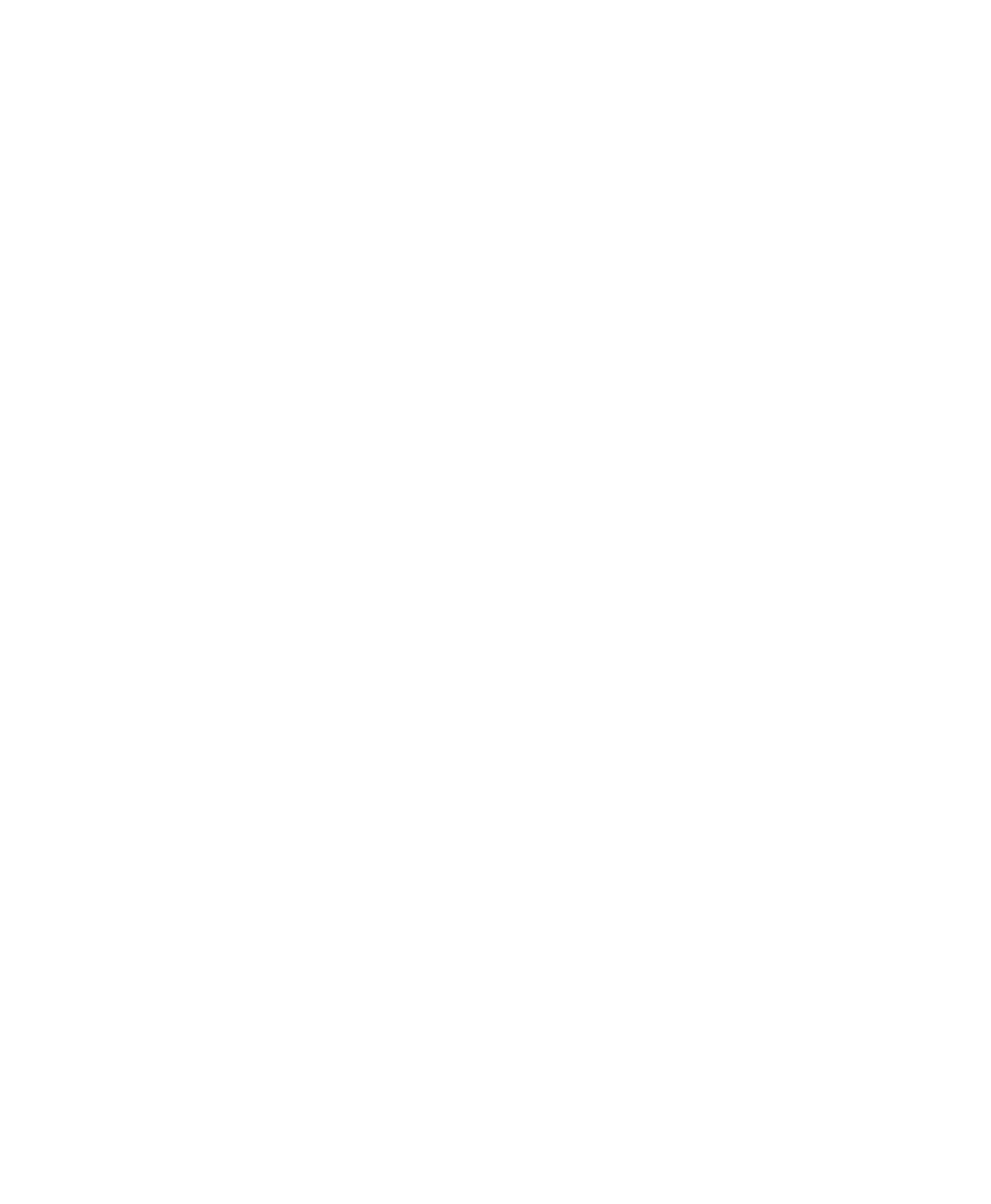 FURIOUS GAMING