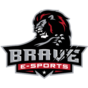 Brave Rocketz