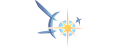 Supernova