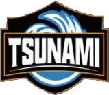 Tsunami