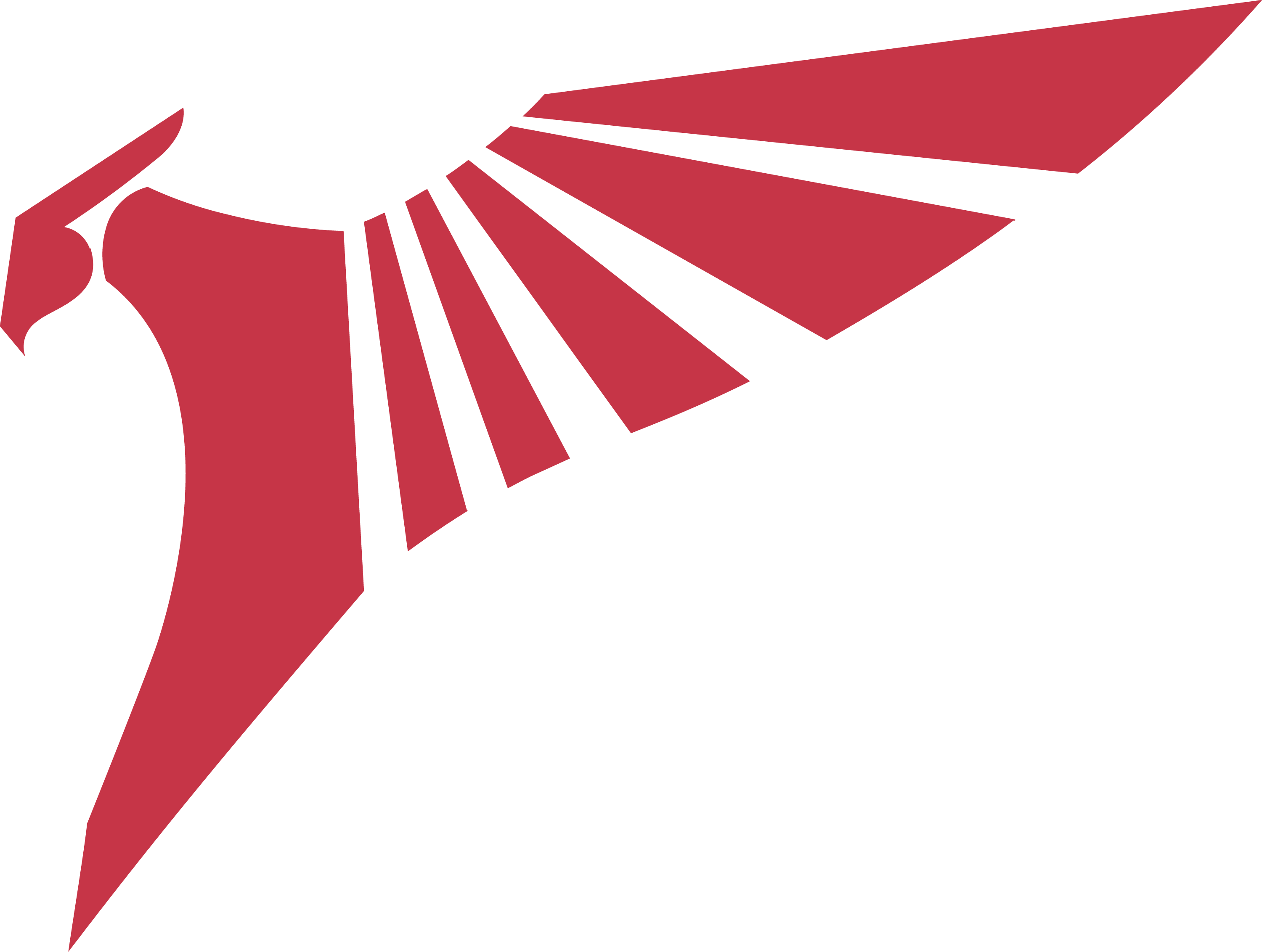 Talon Esports ID