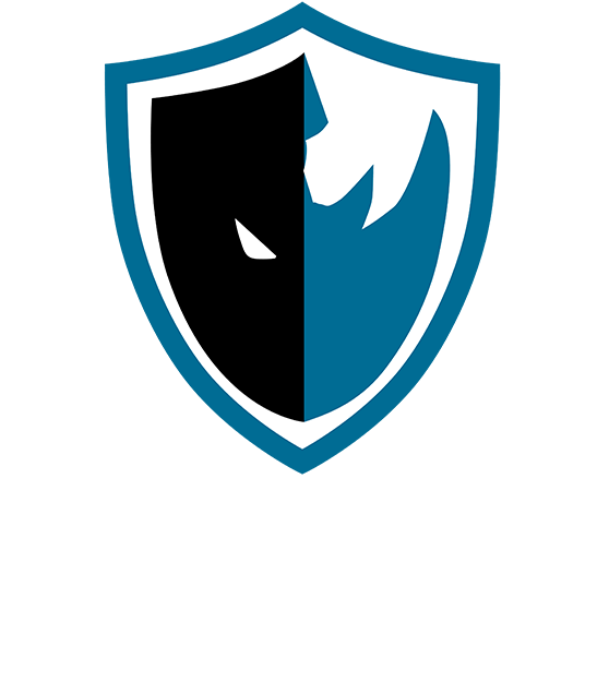 LEVEL UP Esports