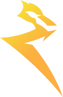 Raion Esports