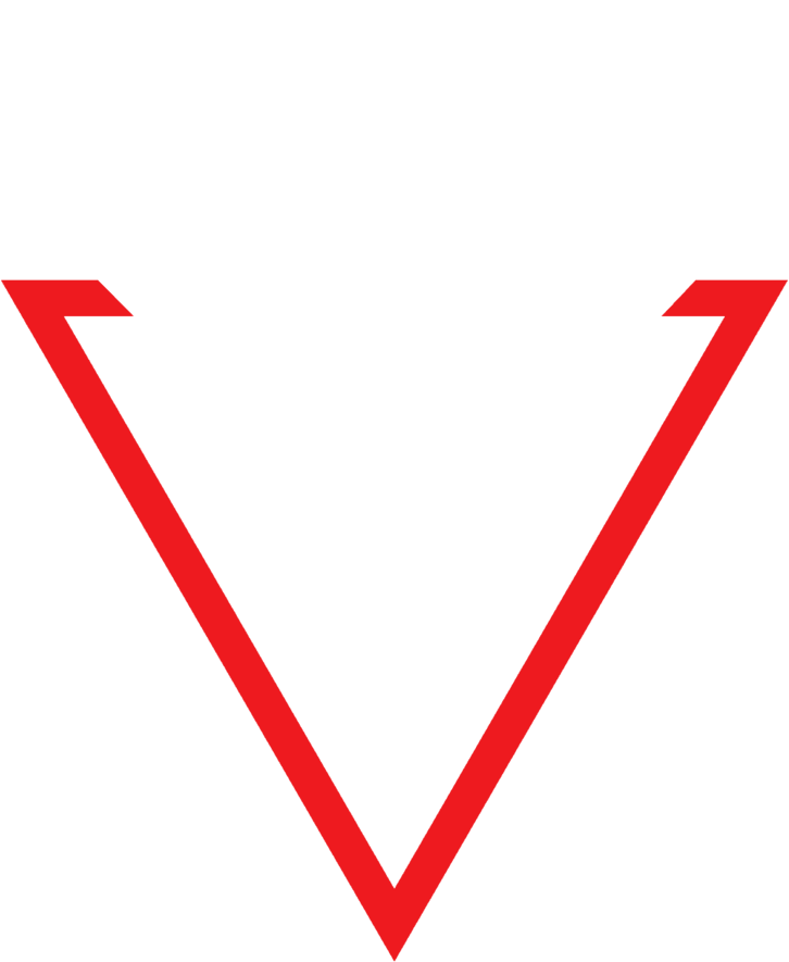 Snogard Dragons
