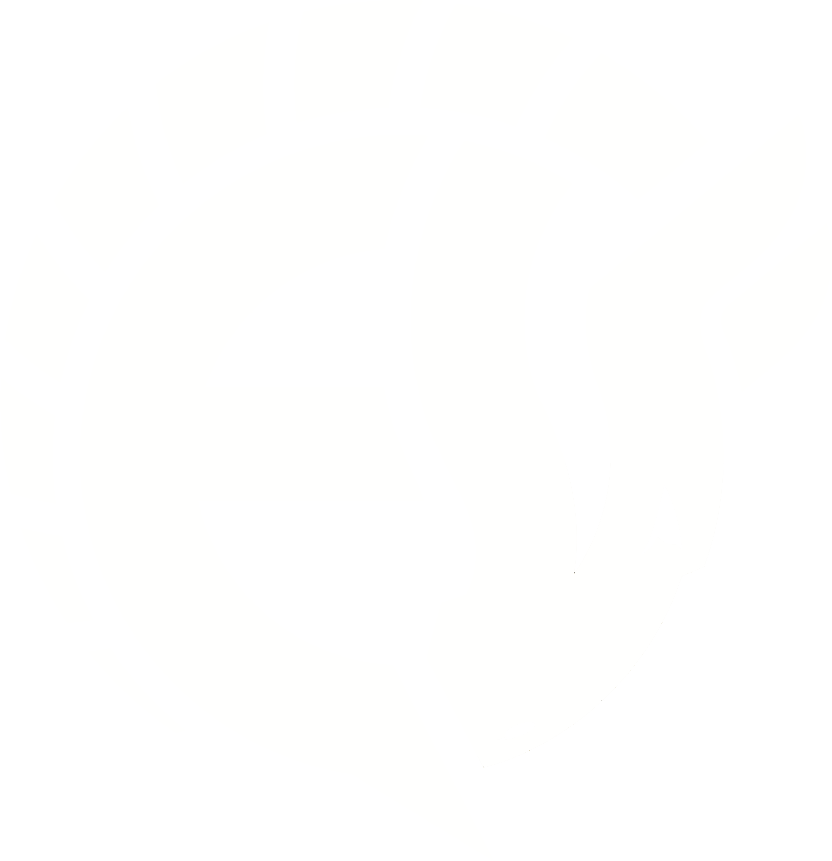Team EVO