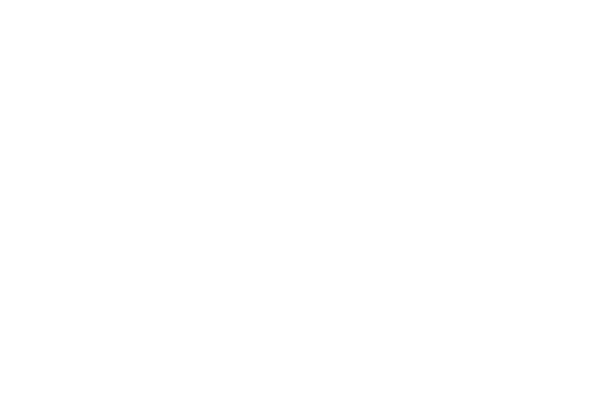 Team LEISURE