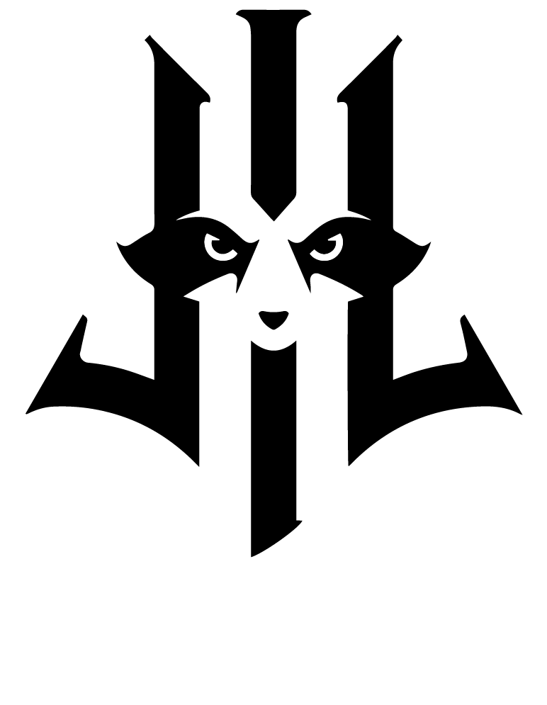 Team Lilgun