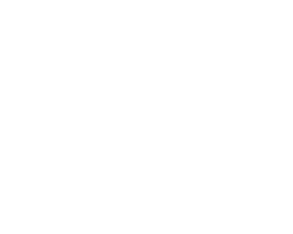 Team Max