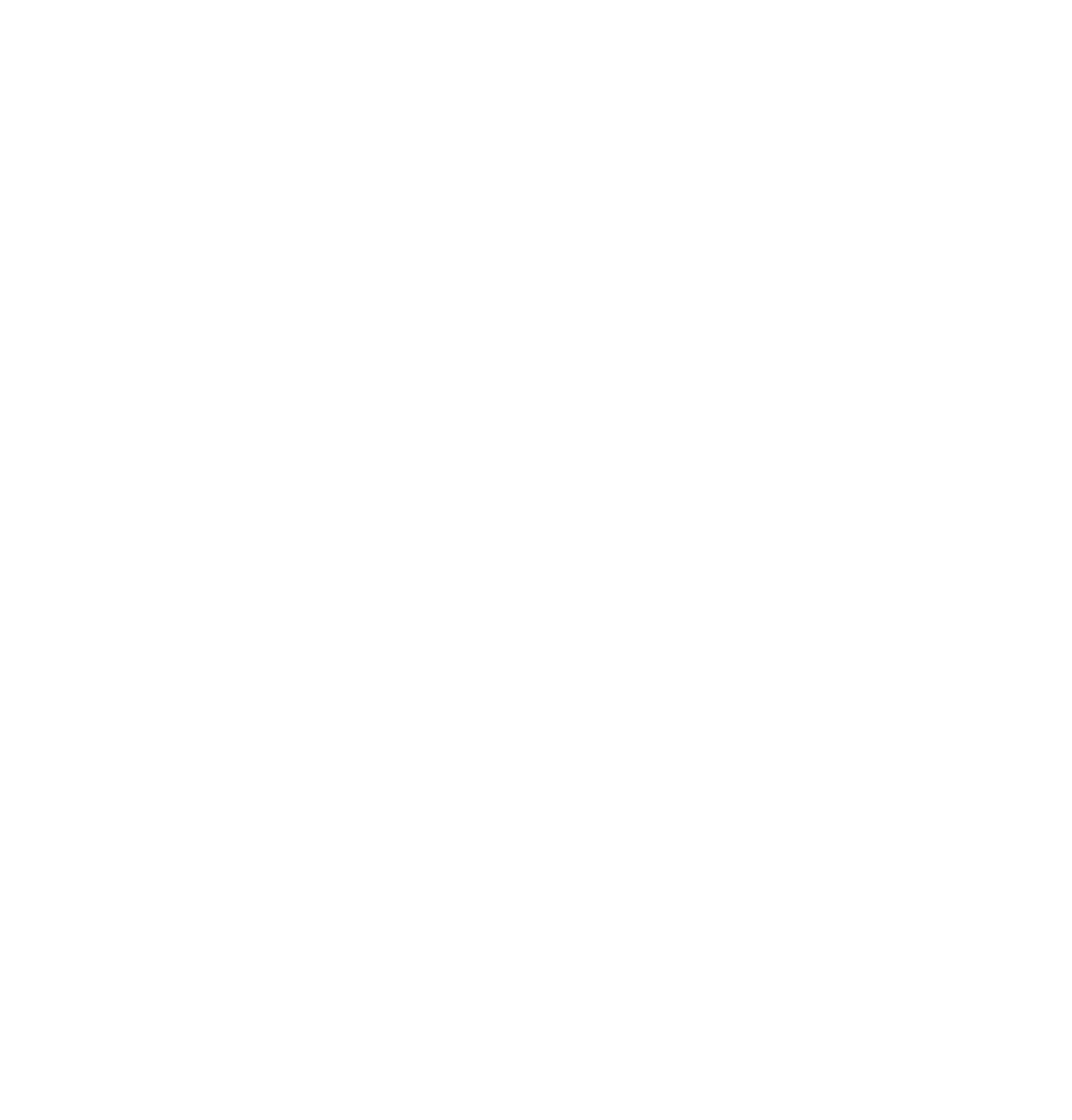 Team Solid