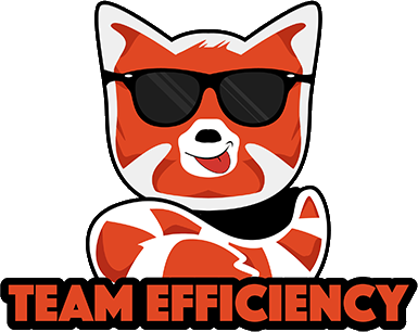Team Efficiency